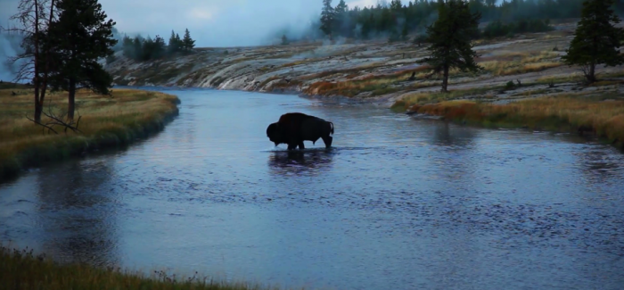 La vidéo du jour : le Yellowstone et le Grand Teton vus par Voortex