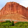 Capitol Reef : de l’ocre, du vert et des pommes