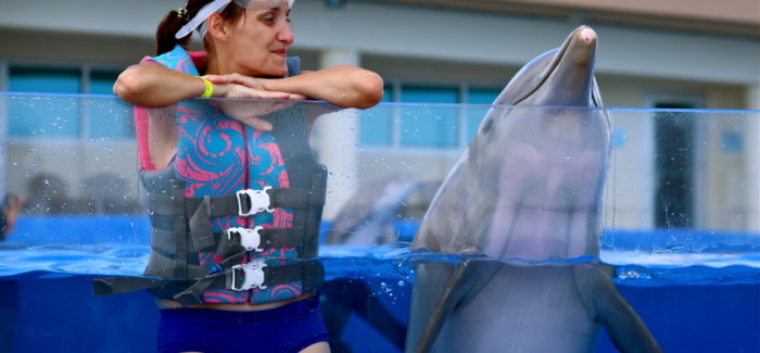 J’ai nagé avec les dauphins dans le premier Marineland du monde